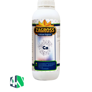 کلسیم زاگرس