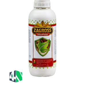 سیلیکوپتاس زاگرس