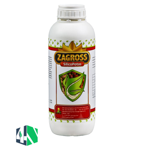 سیلیکوپتاس زاگرس