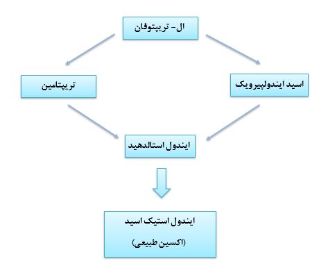 هورمون ریشه دهی و ریشه زایی