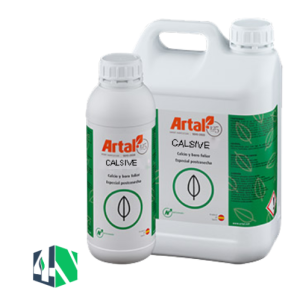 کالسیو (CALSIVE)