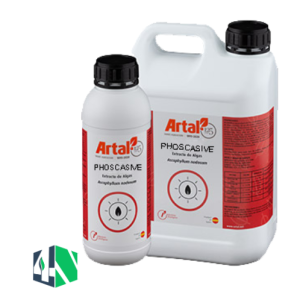 فسکاسیو (PHOSCASIVE)