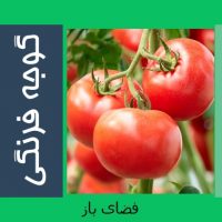 برنامه غذایی گوجه فرنگی