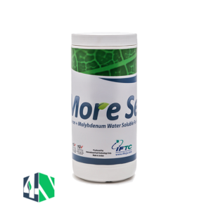 مورست (More Set)