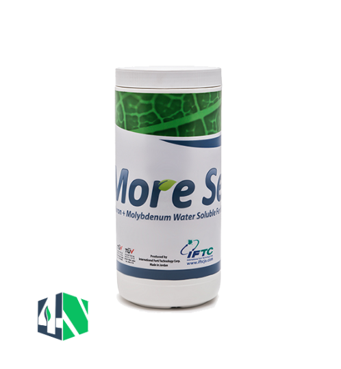 مورست (More Set)