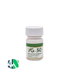 وای جی پلاس (YG Plus)