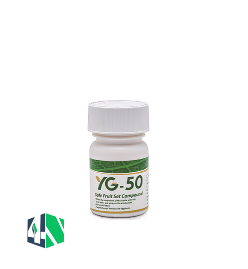 وای جی پلاس (YG Plus)