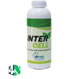 اینترسل (Intercell)