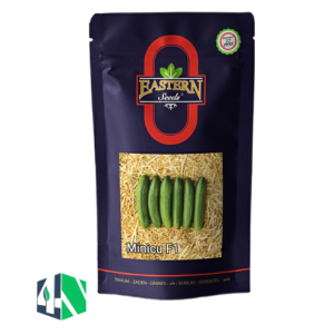 خیار فضای باز مینیکو
