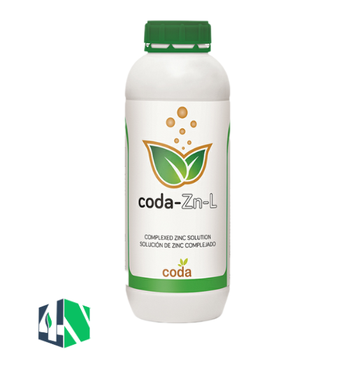 کدا روی ( coda Zn_L )