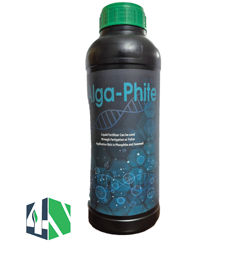 آلگا فایت (Alga-Phite)