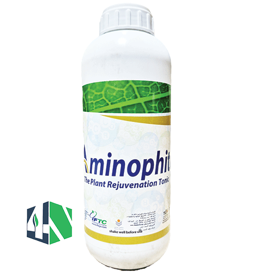 آمینوفیت (Aminophite)